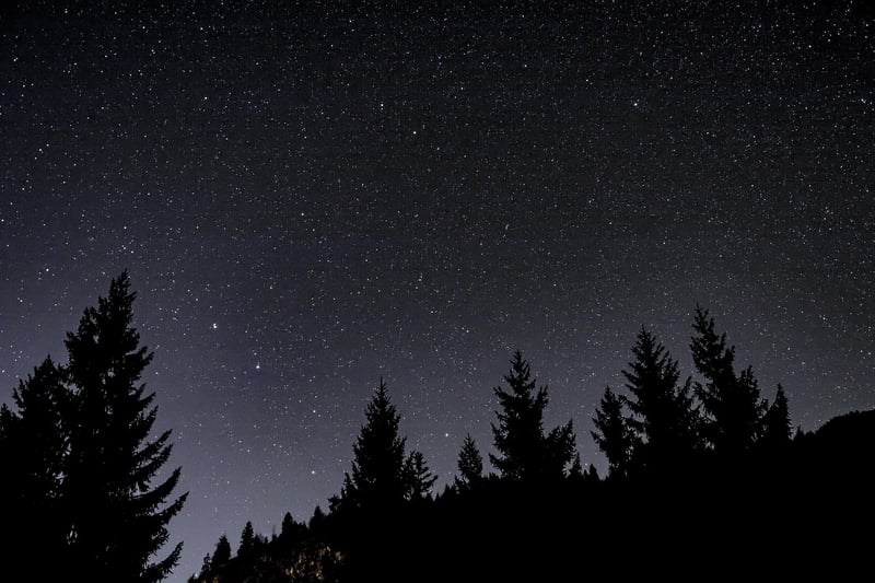 Good Night